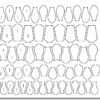 Mix sterów do średnich woblerów, część z nacięciem ( SDR ). 1,5mm 70szt